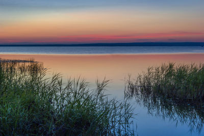 Beautiful pink sunset on the lake. water sky coast horizon reeds.