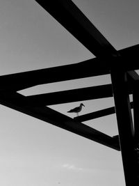 Low angle view of silhouette person against sky