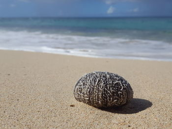 Close-up of sand on beach against sky