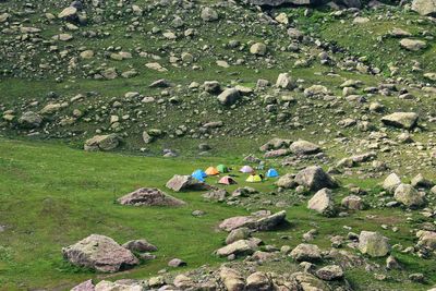 High angle view of rocks on field