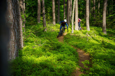 A young woman and a young man riding their mountain bikes on a singletrail near klagenfurt, austria.