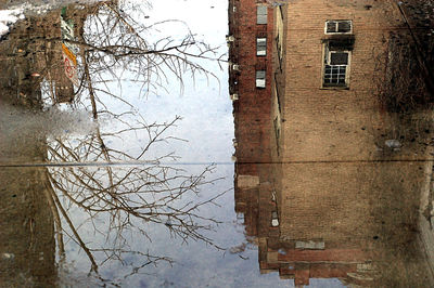 Reflection of buildings in water