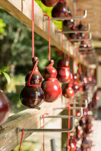 Close-up of fruits hanging