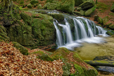 Scenic view of waterfall in forest