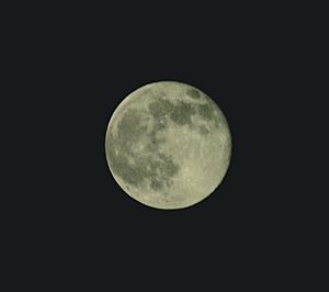 Low angle view of moon in sky at night