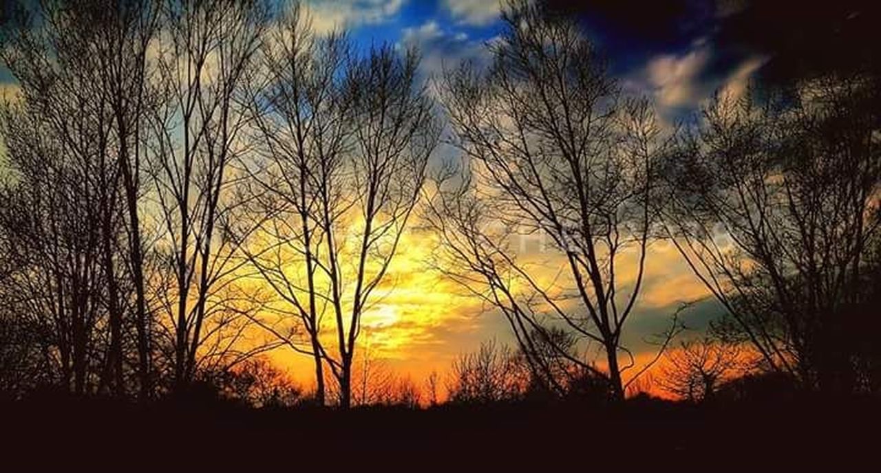 sunset, sky, silhouette, cloud - sky, beauty in nature, tranquility, scenics - nature, tree, plant, orange color, tranquil scene, bare tree, nature, no people, field, land, environment, non-urban scene, dramatic sky, outdoors, dark