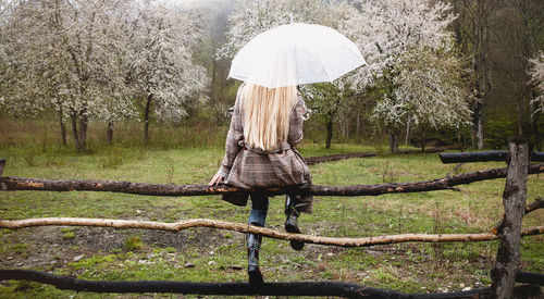 Rear view of woman standing by trees in forest