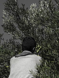 Rear view of man standing by tree