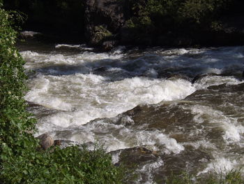 Scenic view of waterfall in forest