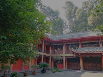 View of trees outside building