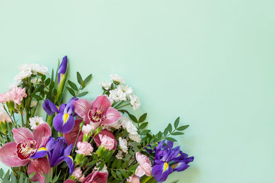 Close-up of pink flowers