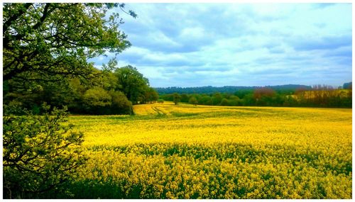 Scenic view of field against cloudy sky