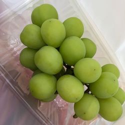 High angle view of grapes in container