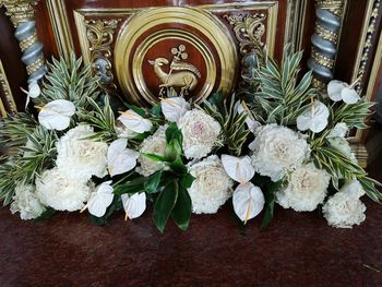 High angle view of white flowering plant