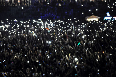 People enjoying music concert