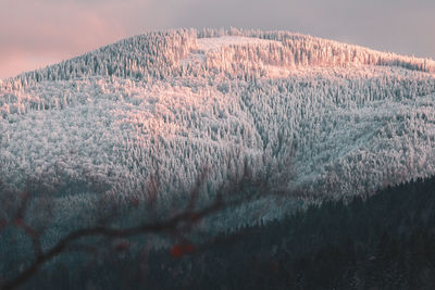 Aerial view of snow field against sky