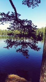 Reflection of trees in lake against sky