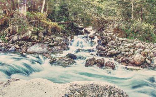 Scenic view of waterfall in forest