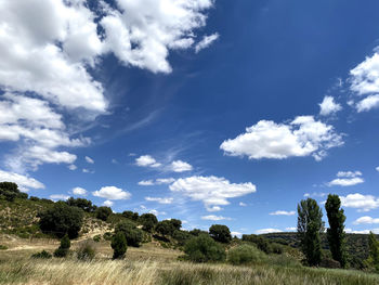 Laguna de alarquillo