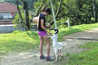 Full length of woman feeding goat