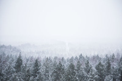 Scenic view of snow covered land against sky