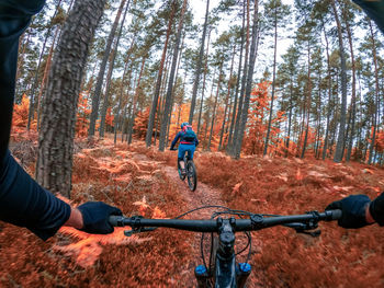 People riding bicycle in forest