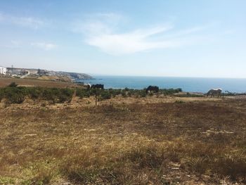 Scenic view of sea and landscape against sky