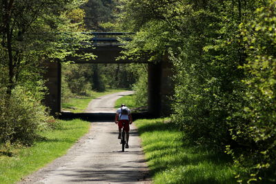 Rear view of person riding bicycle on plants