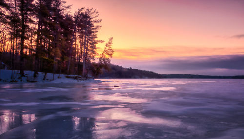 Scenic view of trees against sky during sunset