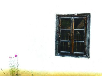 Window of old building