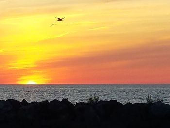 Silhouette birds flying over sea against orange sky