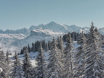 Views over the mont blanc during skiing in les gets.