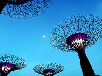 Low angle view of flower tree against blue sky