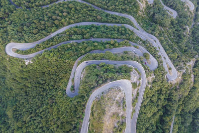 High angle view of road amidst trees