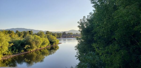 Scenic view of river amidst trees against sky