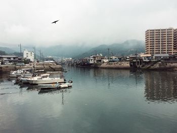 Boats moored at harbor against sky in city