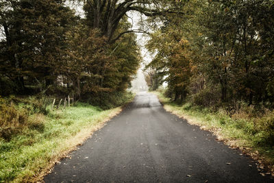 Road amidst trees in forest