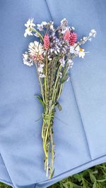 High angle view of flowering plant in vase