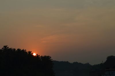 Silhouette of trees at sunset