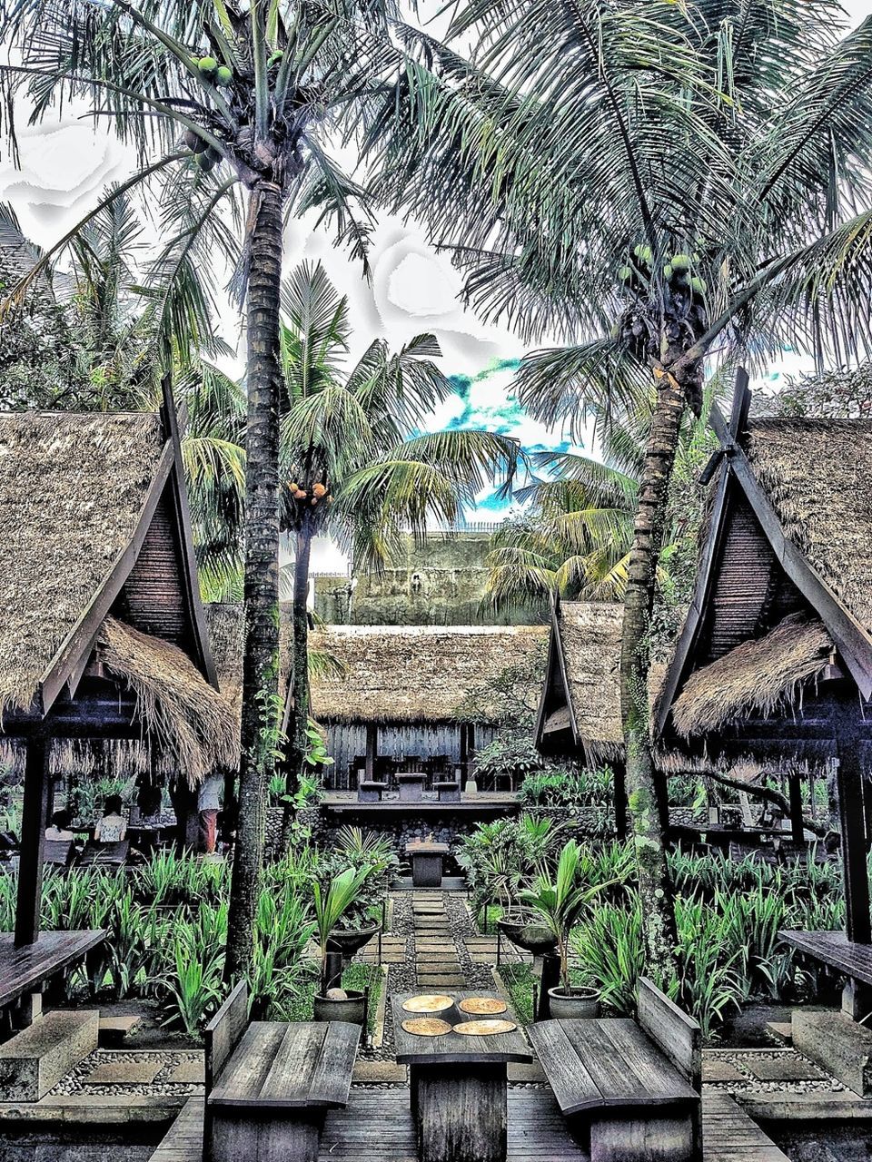 built structure, building exterior, architecture, tree, growth, house, palm tree, plant, sky, roof, nature, day, green color, outdoors, residential structure, no people, branch, potted plant, tranquility, leaf