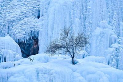 View of the ice-covered slopes in winter