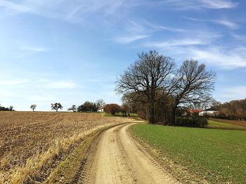 Road amidst bare trees on field against sky