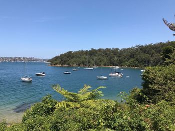 Boats sailing in sea against clear blue sky