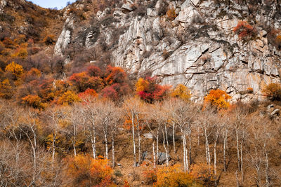 Scenic view of rock formations