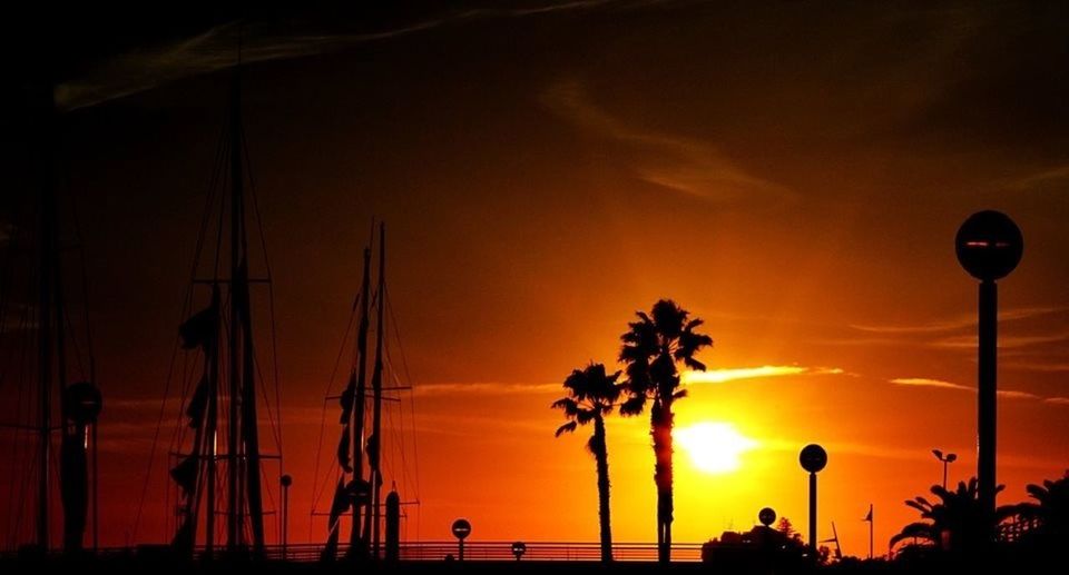 sunset, silhouette, palm tree, orange color, sky, street light, beauty in nature, scenics, sun, tree, tranquility, low angle view, nature, tranquil scene, idyllic, lighting equipment, dusk, cloud - sky, outdoors, outline