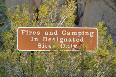 Close-up of information sign on plant