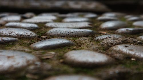 Full frame shot of rocks