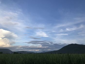 Scenic view of field against sky