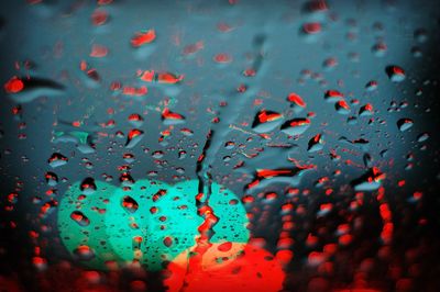 Close-up of red turtle in water