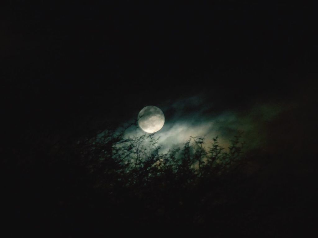 moon, full moon, astronomy, night, planetary moon, beauty in nature, tranquil scene, tranquility, scenics, sky, nature, low angle view, circle, moon surface, space exploration, dark, idyllic, moonlight, majestic, copy space